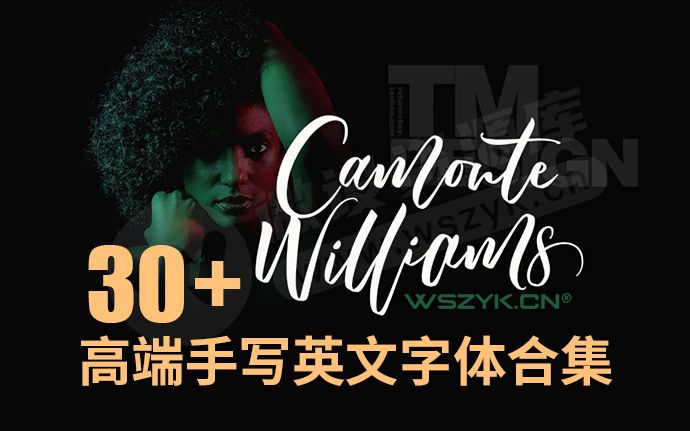 快速提升设计美感，高端艺术英文手写字体30+款合集（230501）